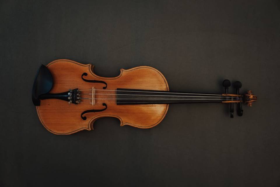 instrumento Viola