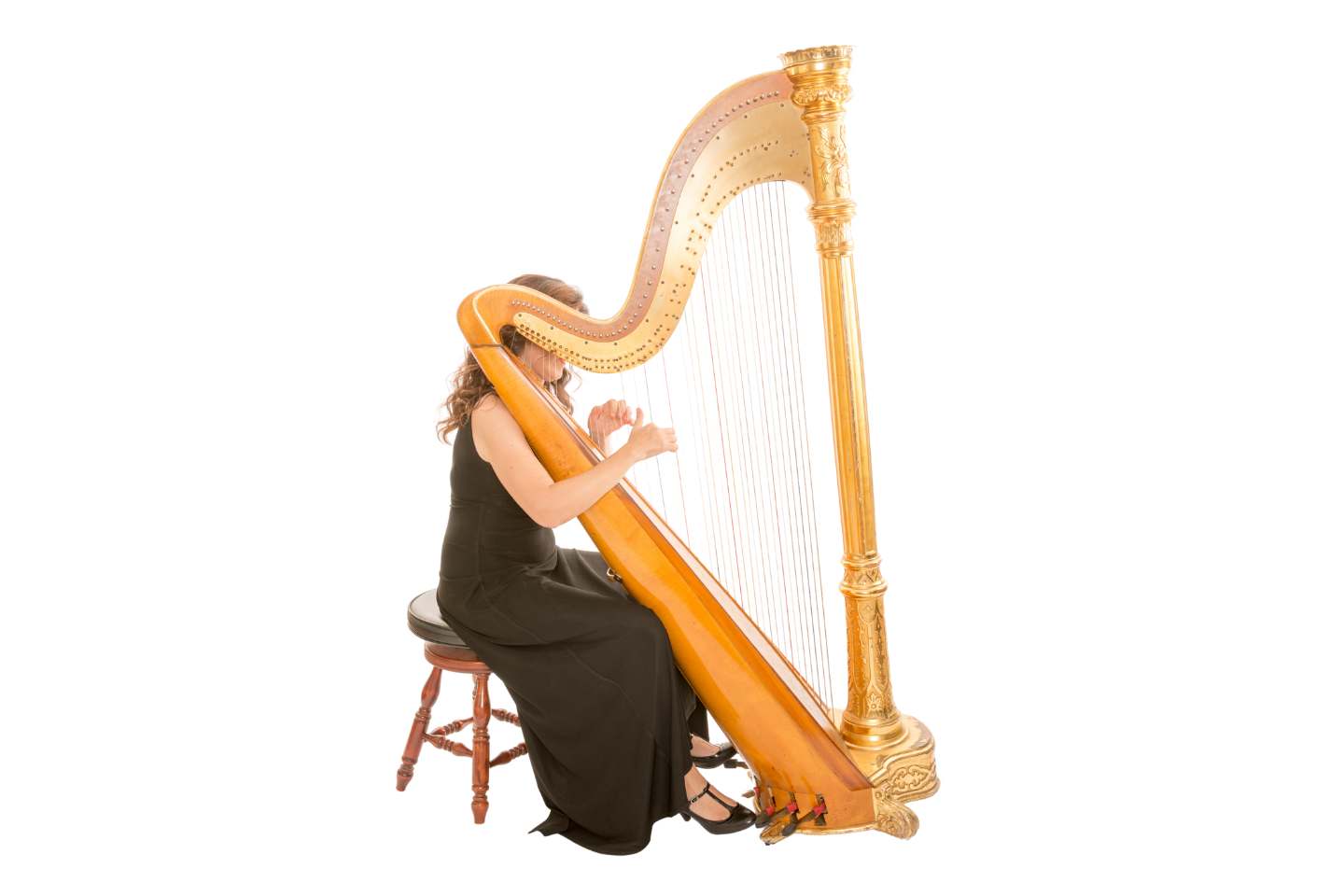 A Harpa Sinfônica nas Orquestras