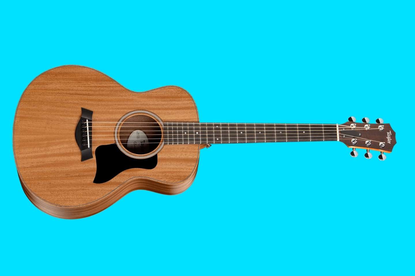 Taylor Guitars - GS Mini Mahogany