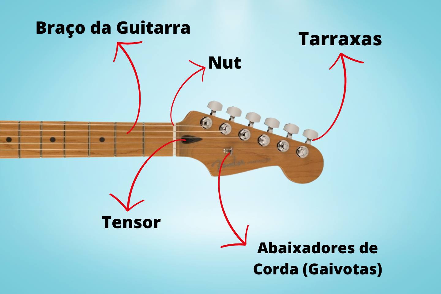 O Braço da guitarra e suas partes