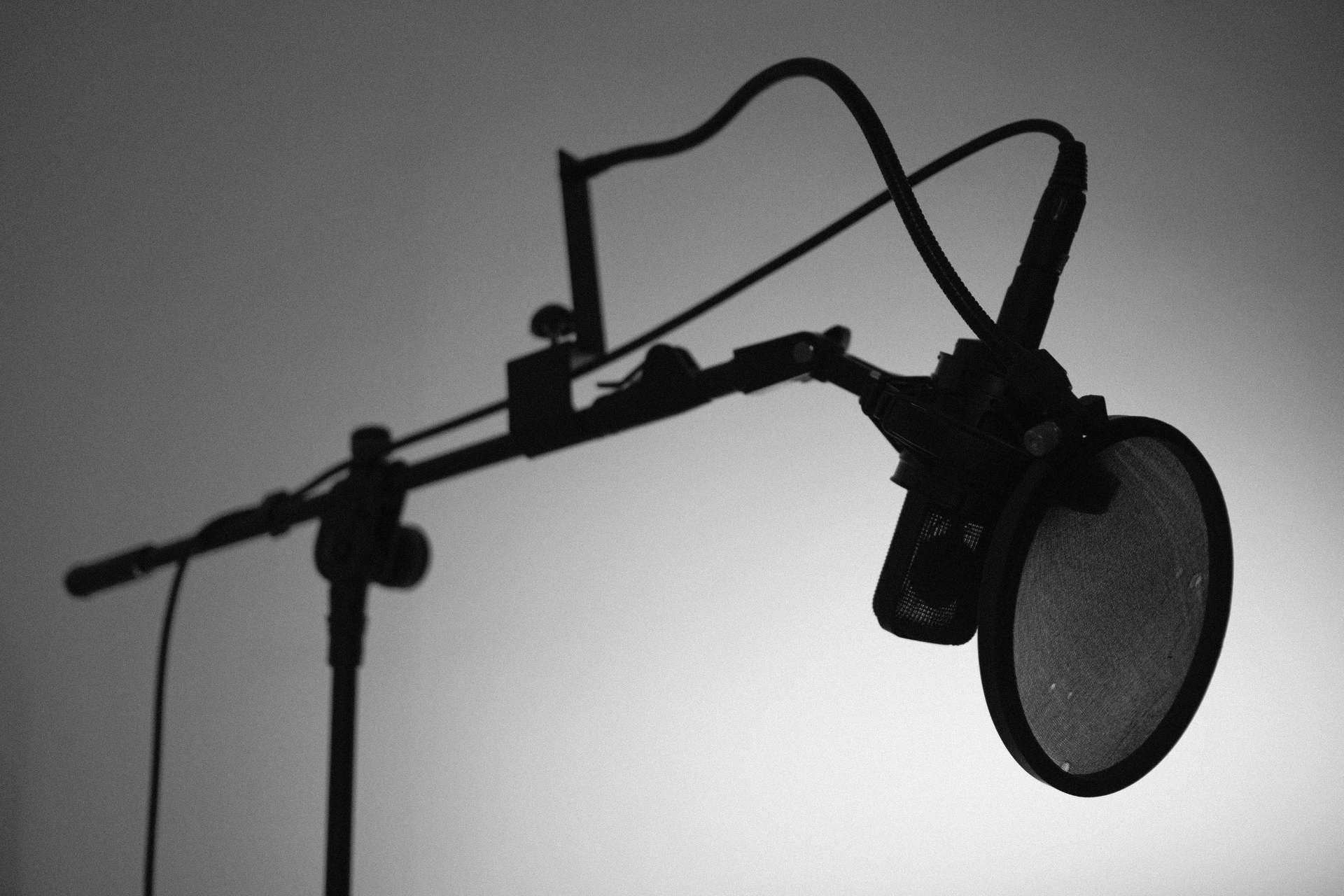 Tipos de Pop Filters